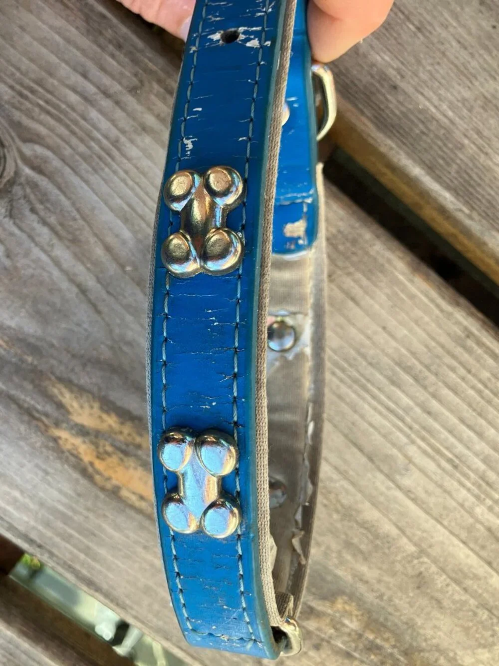 🐶💙 Blue Leather Studded Dog Collar | Silver Bone Studs | Thick Padded Collar |